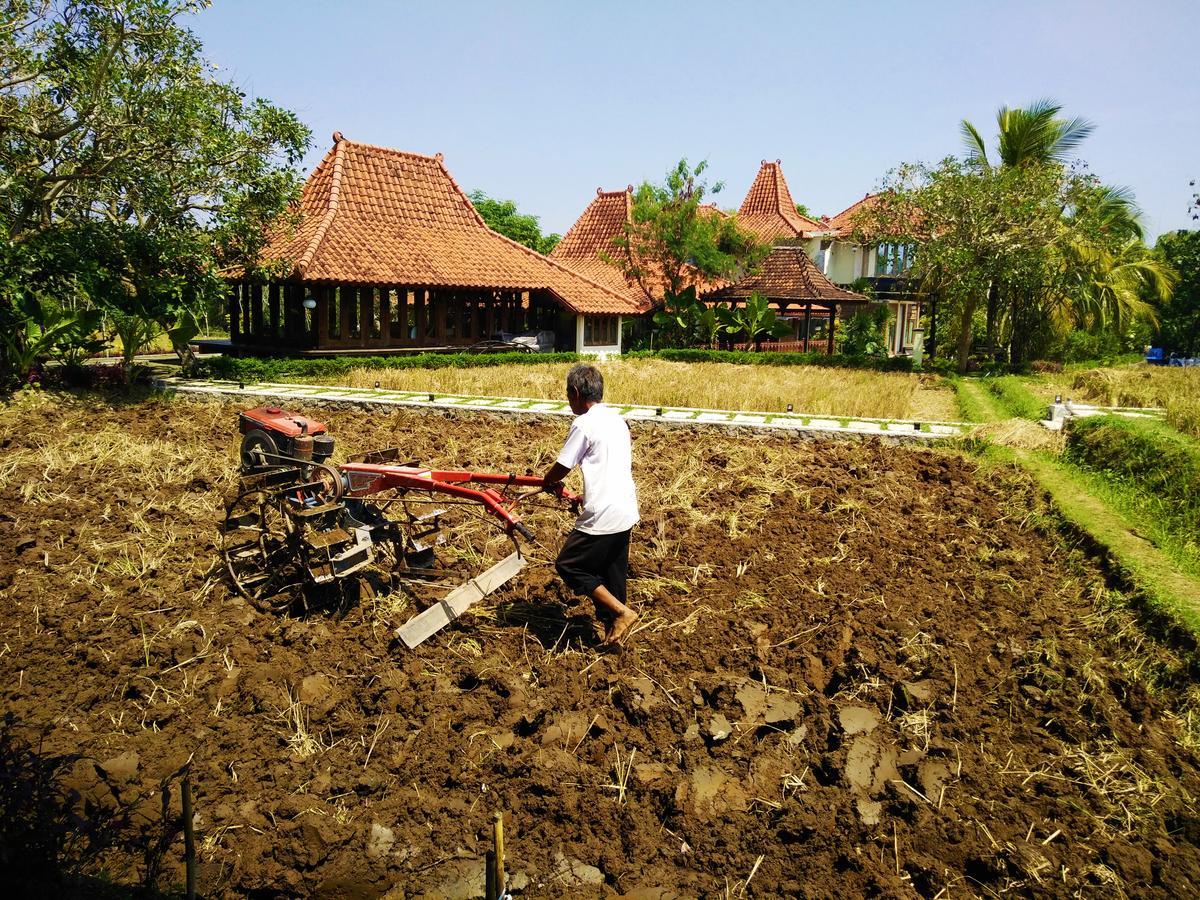 Java Village Resort By Homee Yogyakarta Sleman  Exterior photo